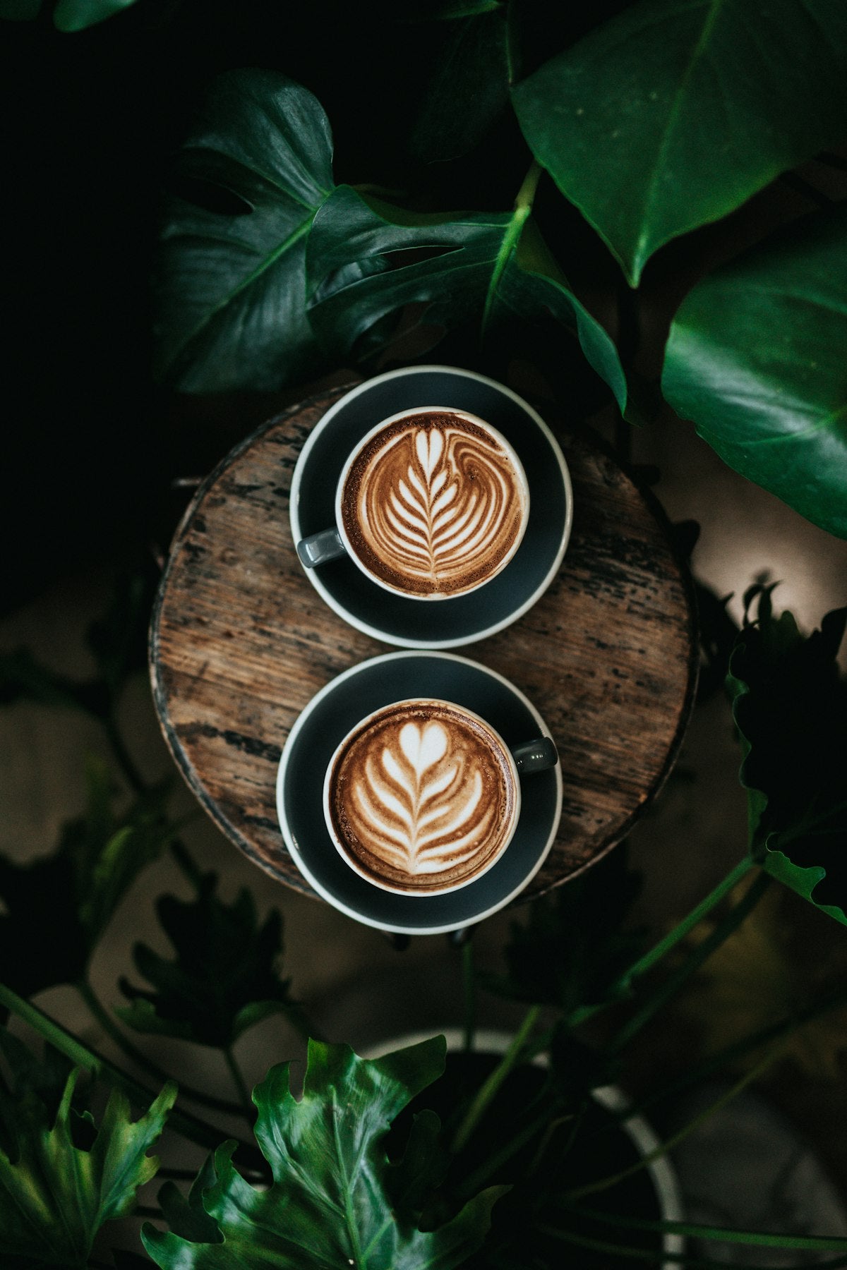 Specialty Coffee Costa Rica Tarrazu Light Roast - Pour Over Specialty Coffee Българско Кафе