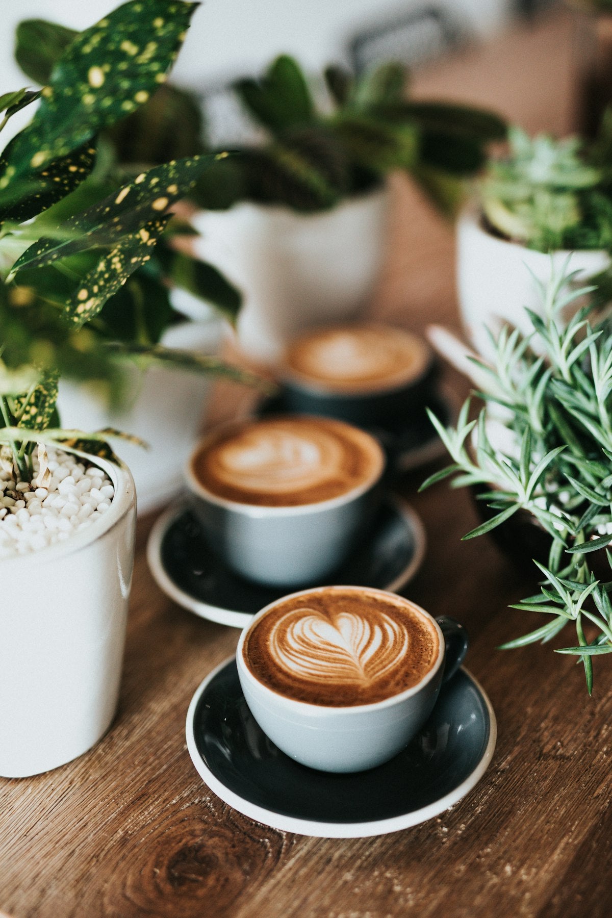 Specialty Coffee Blend Балканско Утро - Morning Blend Specialty Coffee Българско Кафе