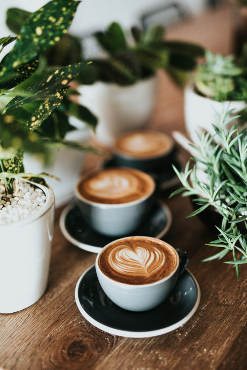 Specialty Coffee Blend Балканско Утро - Morning Blend Specialty Coffee Българско Кафе